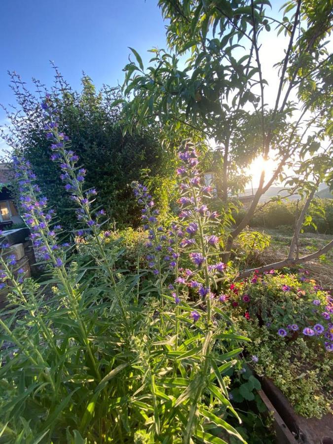 La Maison Du Potager Saint-Racho Екстер'єр фото
