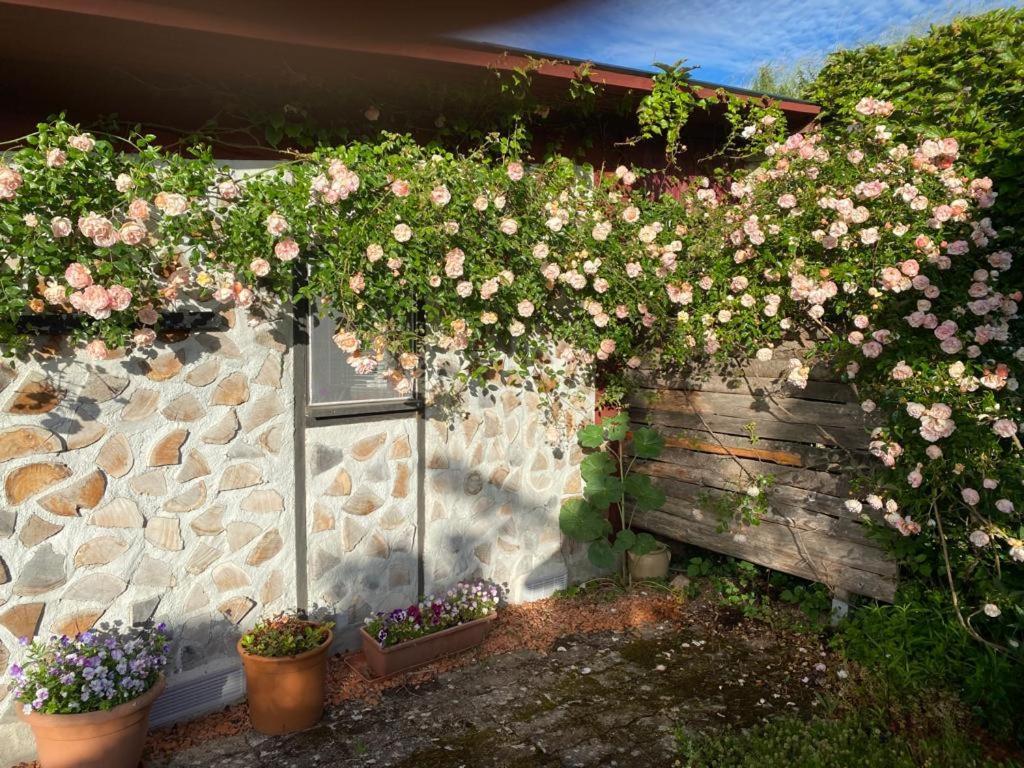 La Maison Du Potager Saint-Racho Екстер'єр фото
