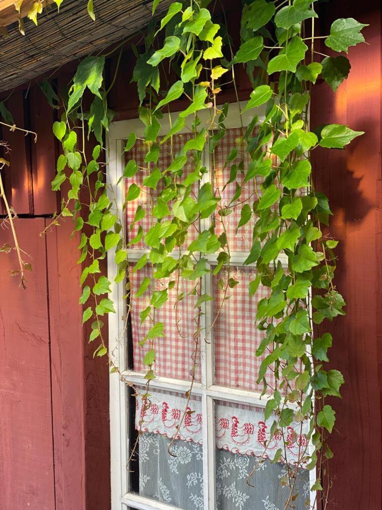 La Maison Du Potager Saint-Racho Екстер'єр фото